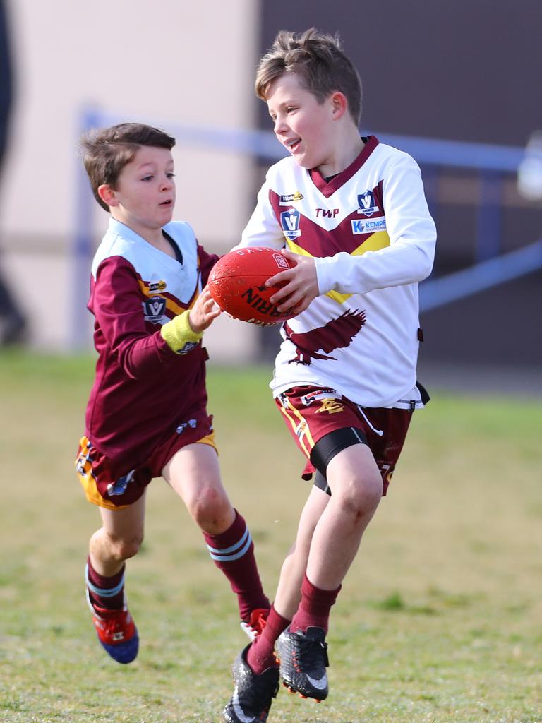 Photos of Geelong junior footy: | Geelong Advertiser