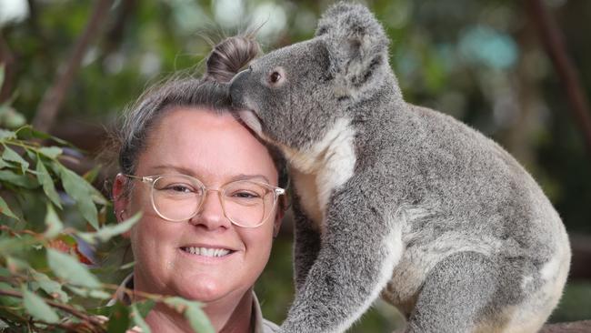 Women of the Year Nominee, Sarah Eccleston, has been at the forefront of Koala research and conservation at Currumbin Wildlife Sanctuary, for almost 25 years. Sarah with one of the koalas at the Sanctuary. Picture: Glenn Hampson