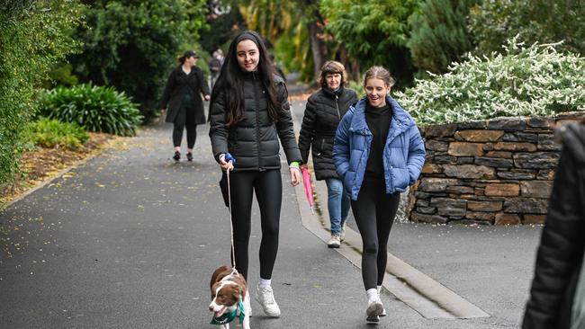 Million Paws Walk at Adelaide Botanic Gardens. Picture: Brenton Edwards