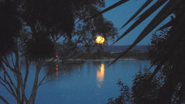 American River, Kangaroo Island. Picture: Pietro Bissotti