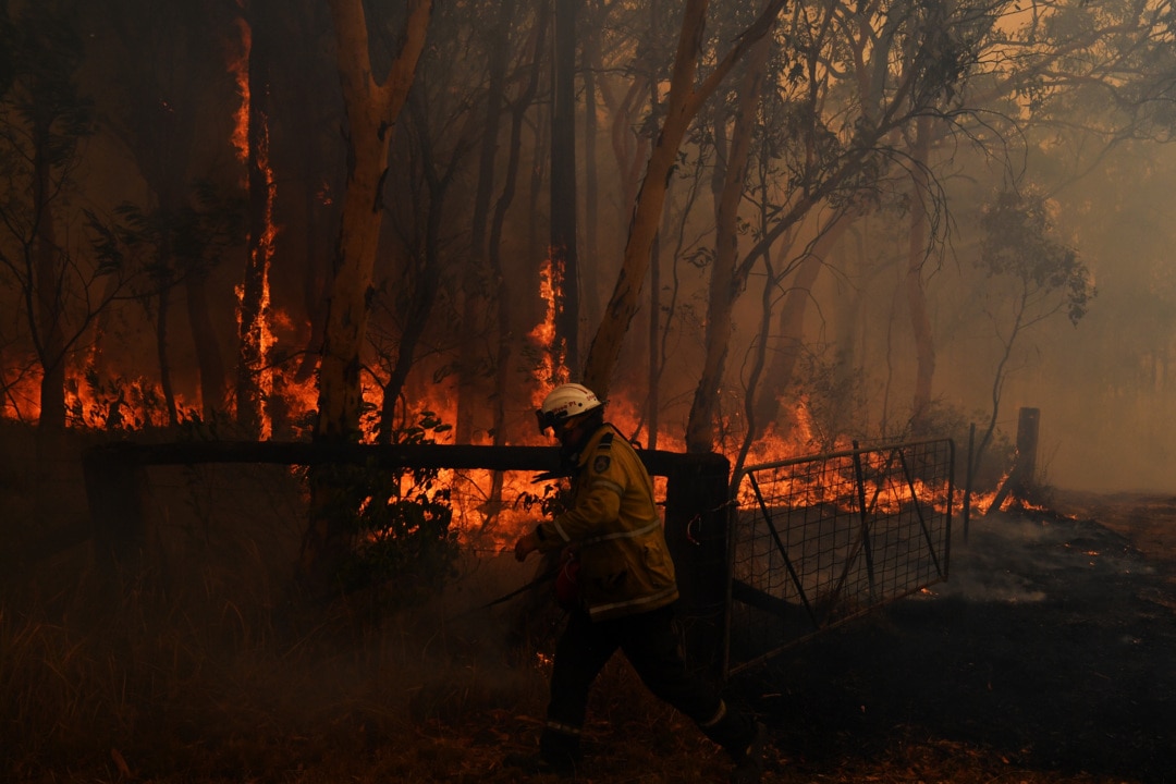 Bushfire royal commission ‘to examine green movement to hijack back burns’