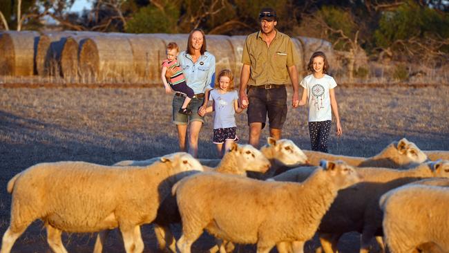 The Fischers have more than doubled their business since the fire, now running 1200 breeding ewes. Picture: Tom Huntley