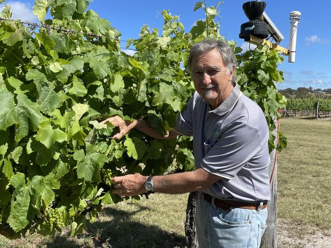 Southern Downs vineyard first in state to be named among country’s best