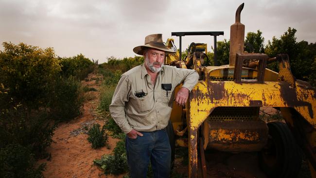 Struggling citrus farmer Alan Whyte at his property on the Lower Darling River. Picture: Rohan Kelly