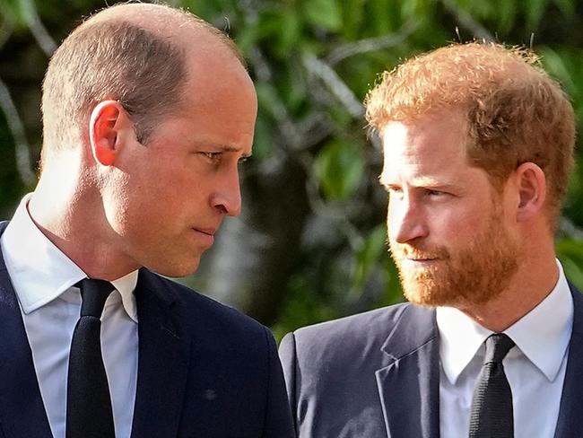 Prince William and Prince Harry will not meet this trip.