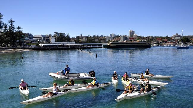 Kayakers in Manly.