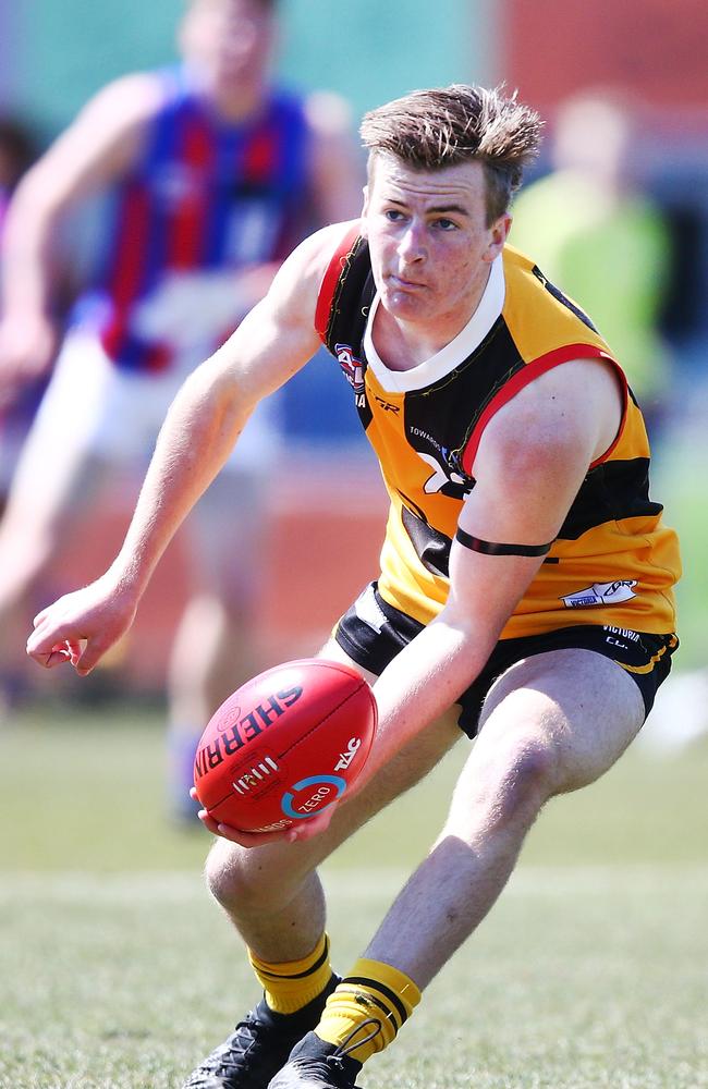 Campbell Hustwaite had a dominant season for the Dandenong Stingrays.