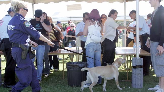 Police officer with sniffer dog checking concert goers for drugs, at the inaugural V Outdoor Musical Festival at Centennial Park in Sydney. 