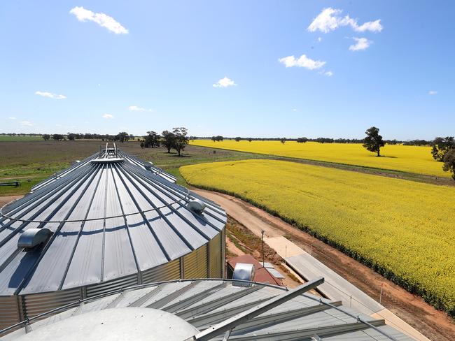 Tim Dowling & his daughter Gaby with their canola crop, "Tara, Mulwala, NSW,  Picture Yuri Kouzmin