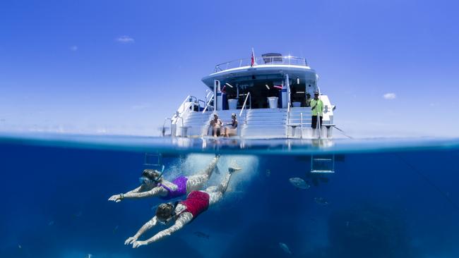 Snorkellers on a Great Barrier Reef day trip. Picture: Tourism Tropical North Queensland