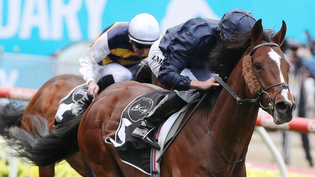 Hunting Horn, ridden by Ryan Moore, charges to the line — and a Melbourne Cup start. Pic: Micheal Klein