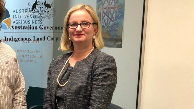 Northern Australia Infrastructure Facility acting CEO Amanda Copping. Picture: Supplied