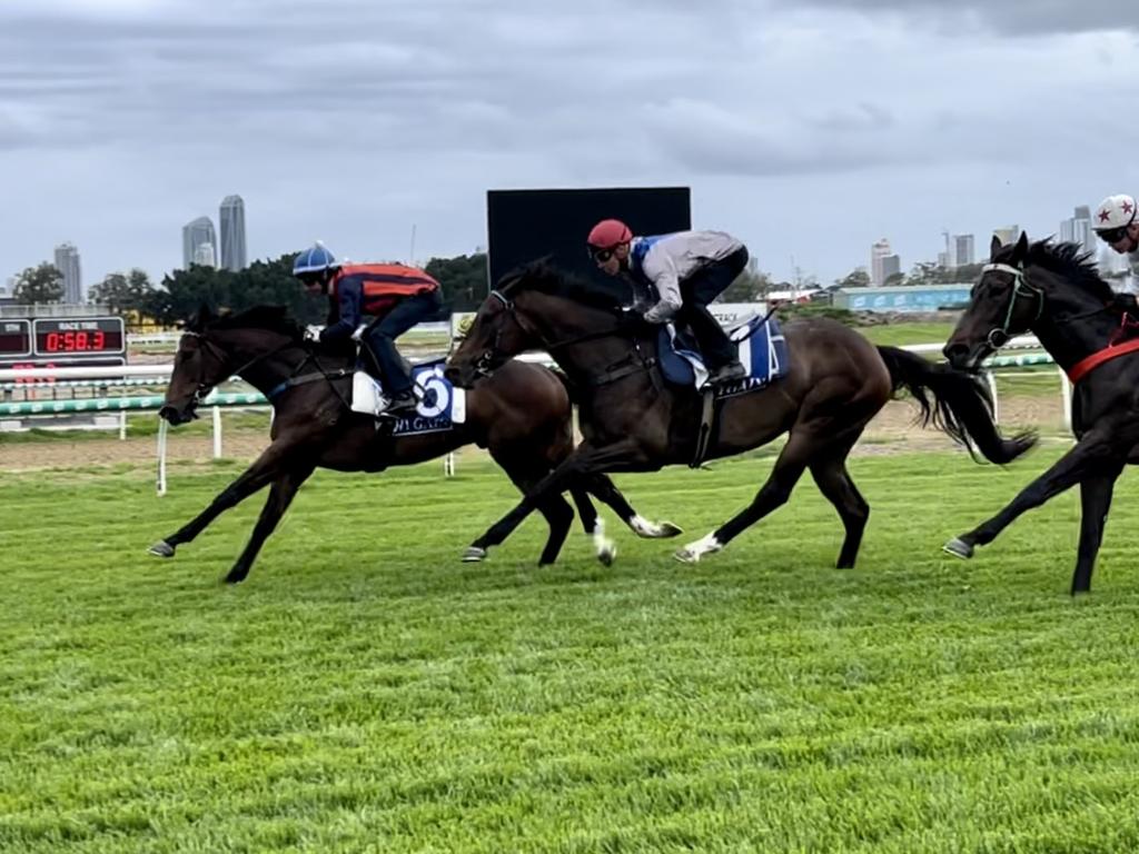 Gold Coast Turf Club ready to host Magic Millions race day on its new