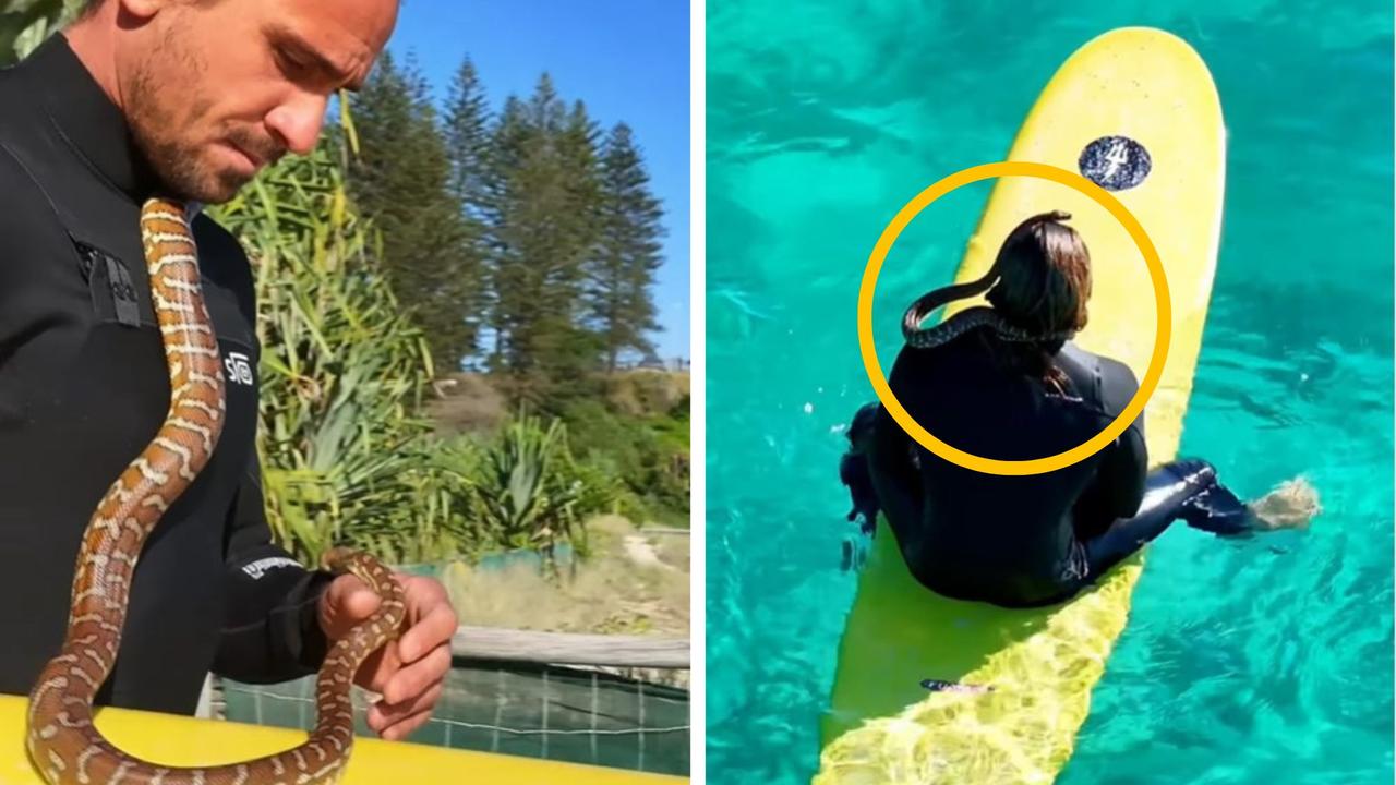 Twist after man takes pet snake surfing