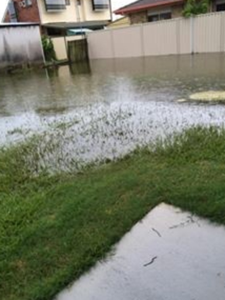 A flooded backyard on Bribie Island after 95mm of rain inundated the region. Picture: supplied.