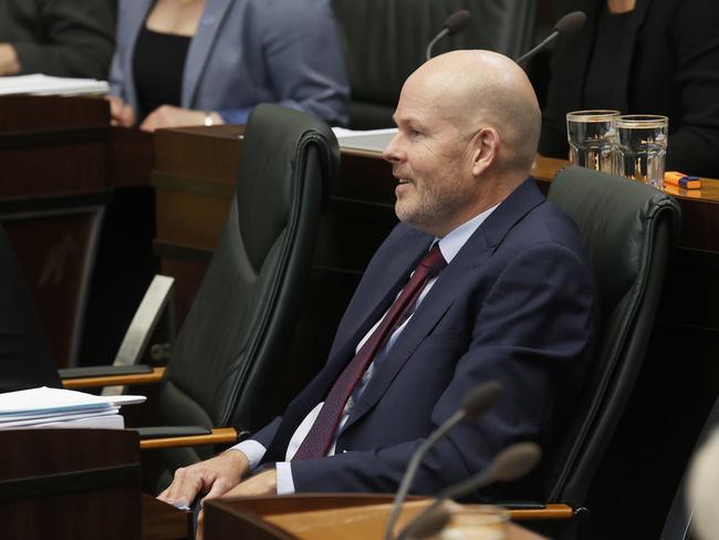 Labor’s Shane Broad was elected on a recount in 2017, replacing former Labor leader Bryan Green. Before that, he was an agricultural scientist and an Australian World Championship representative rower. Picture: Nikki Davis-Jones