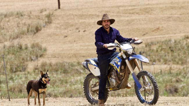 Moving forward: Dan Hammat heads out to check the flock at Baderloo Poll Merinos, a stud that is a trait leader across many categories and where sheep have not been mulesed for the past 14 years. 