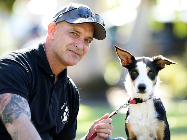 Scott Jackman founded charity Whiskey’s Wish, which trains dogs like Polly (pictured) to support people suffering from PTSD. Picture: Mark Calleja