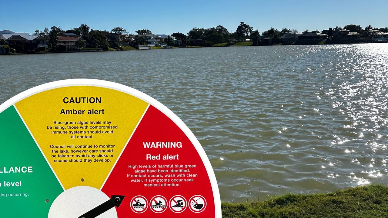 Why this Gold Coast lake literally stinks