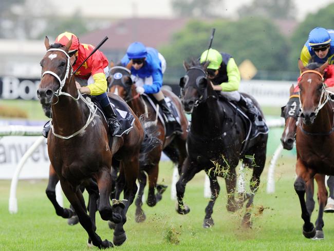 Money continues to come for Press Statement in the Randwick Guineas. Picture: Simon Bullard