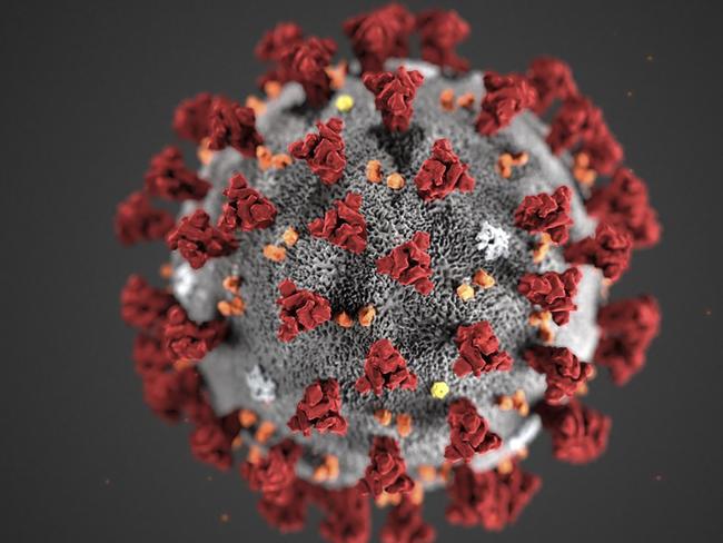 A novel coronavirus virus was identified as the cause of an outbreak of respiratory illness first detected in Wuhan, China. Picture: Alissa Eckert/Centers for Disease Control and Prevention