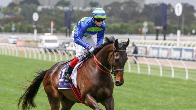 Modown will be one of the leading chances in Saturday’s Sandown Guineas. Picture: George Sal/Racing Photos via Getty Images
