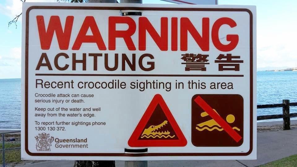 CROC SPOT: There are reports that a crocodile was spotted at Cannonvale Beach. Picture: contributed