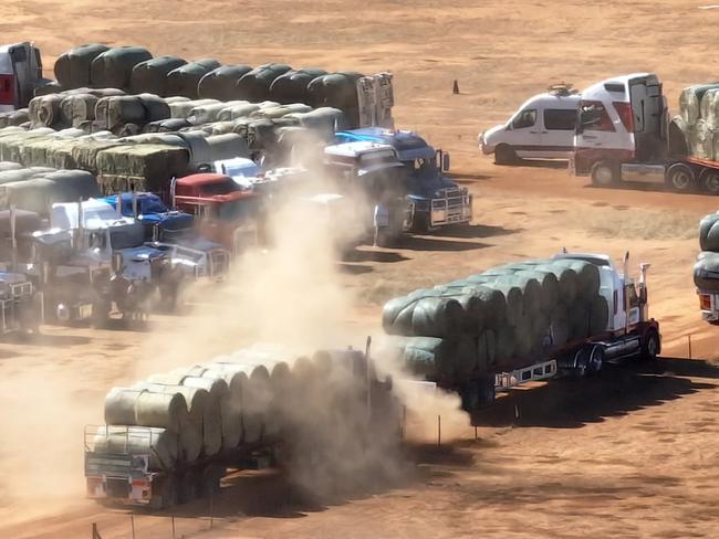 Aussie Hay Runners and other charities are delivering 100 truckloads of donated hay to drought-stricken farmers across South Australia. Picture: Chris Woodman