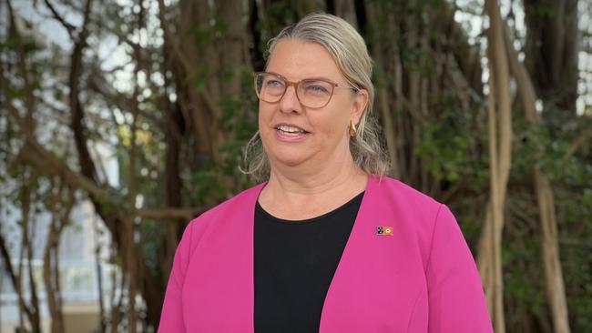 Northern Territory Attorney-General Marie-Clare Boothby called an inquiry into the inquiry - make that make sense. Picture: Fia Walsh.