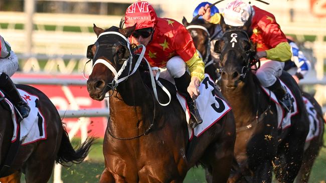 Tannhauser is a leading Queensland Derby chance for Chris Waller. Picture: Grant Peters — Trackside Photography.