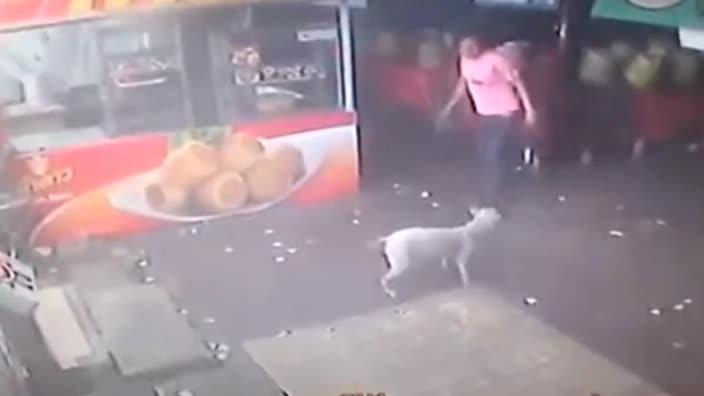 Man tries to kick dog, ends up face planting