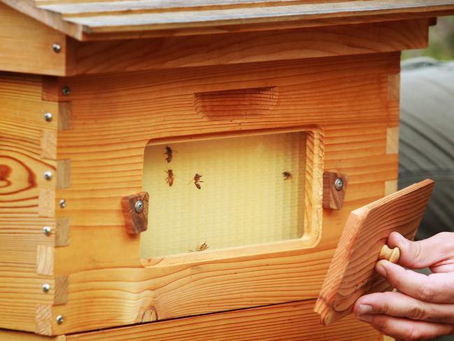 Evolve’s Flow Hive beehive, part of the world’s biggest crowd-funding campaign.