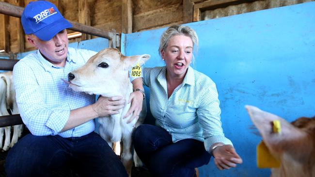 Home Affairs Minister Peter Dutton and Senator Bridget McKenzie visit a dairy farm in December last year. Picture: Steve Pohlner