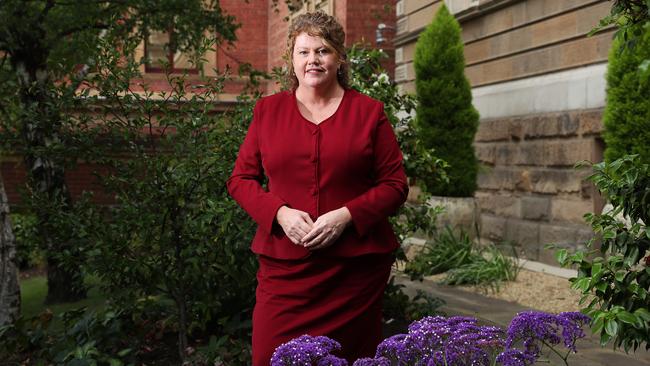 SUN TAS. Hobart Lord Mayor Anna Reynolds one year into her term. Picture: NIKKI DAVIS-JONES