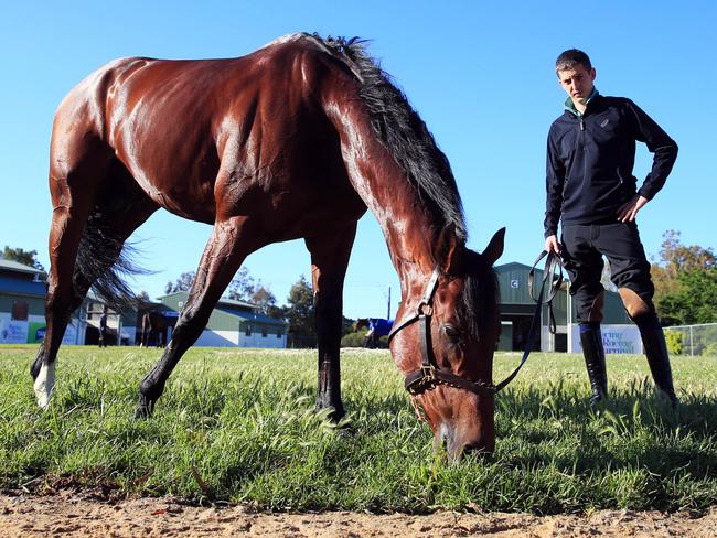 Johannes Vermeer enjoys a pick at his Werribee home.