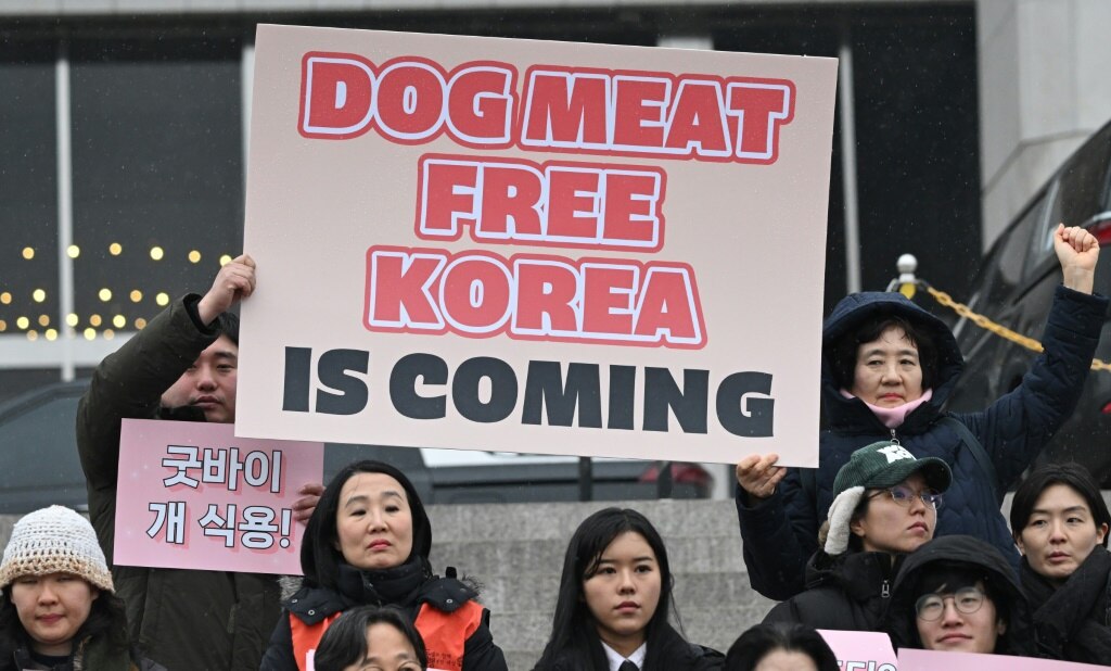 South Korea Parliament Passes Bill Banning Dog Meat Trade | News.com.au ...