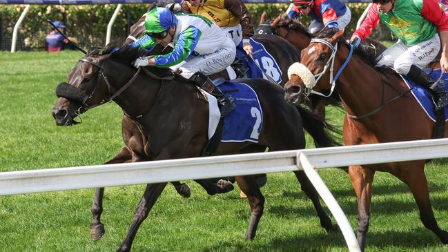 Skew Wiff was a Group 1 winner in New Zealand before winning at Group 3 level at Flemington on Melbourne Cup Day. Picture: Racing Photos via Getty Images.