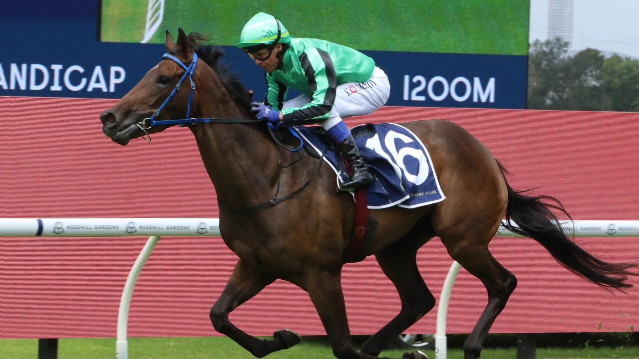 Randwick Turf Talk for Saturday: X-factor filly to cause an upset