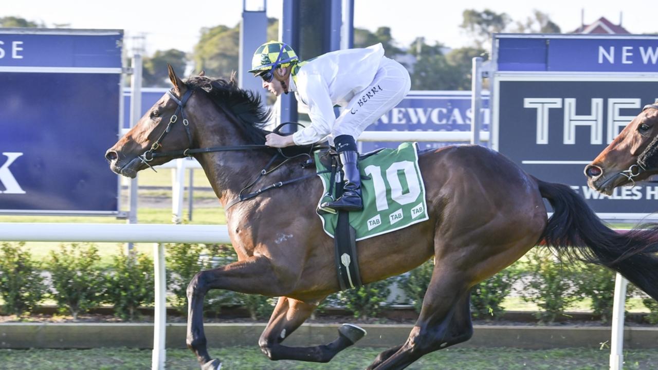 Winx's little sister Wings Of Desire will chase valuable black type in Saturday's Group 2 Edward Manifold Stakes at Flemington. Picture: Bradley Photos