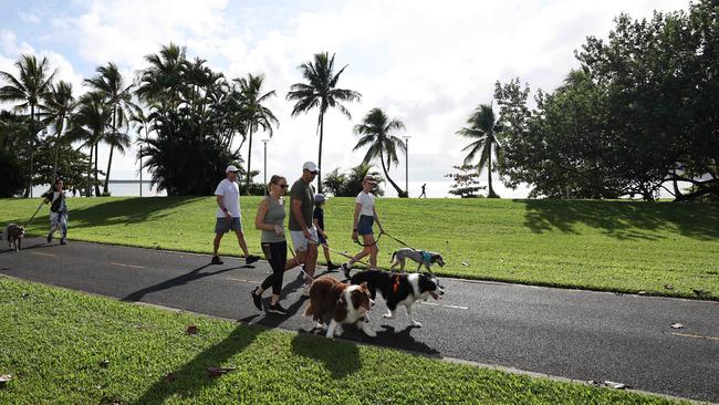 The RSPCA's Million Paws Walk fundraiser, held along the Cairns Esplanade. Picture: Brendan Radke