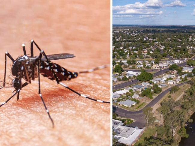 A positive case of Japanese encephalitis has been confirmed in Queensland and is suspected to have been contracted in the Goondiwindi region.