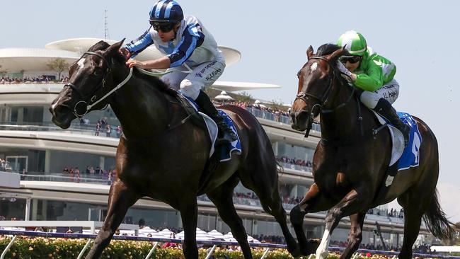 Foxy Frida has a great chance to resume as a winner in the Group 3 Frances Tressady Stakes at Flemington. Picture: Michael Klein