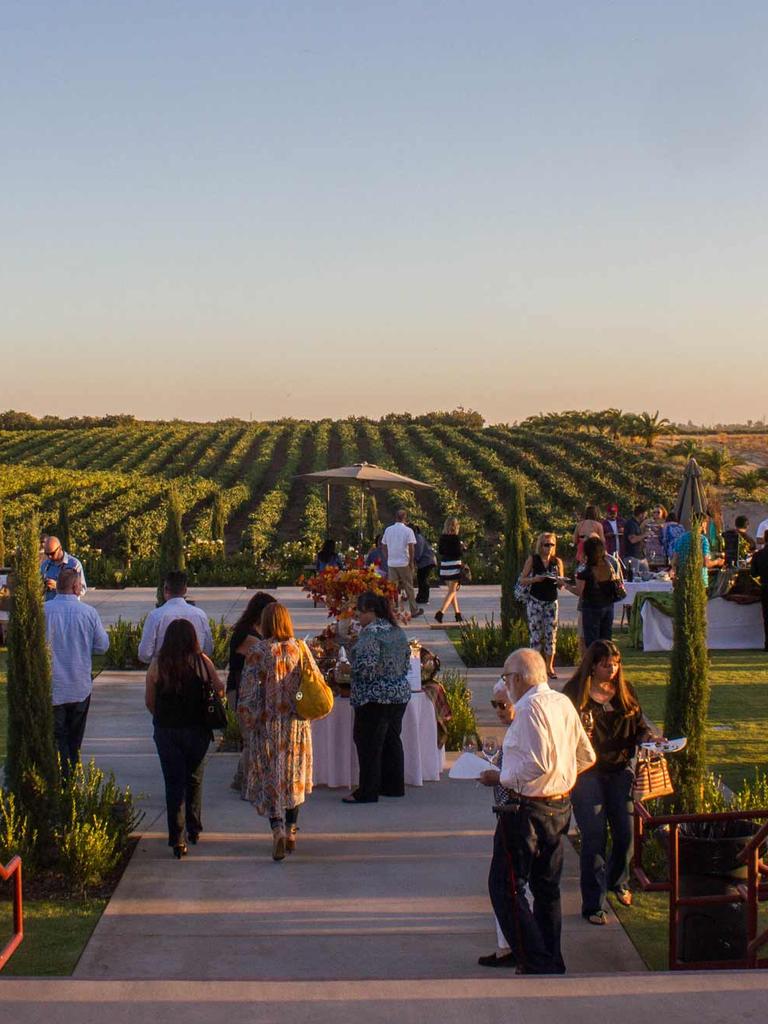 Check out the Madera Wine Trail instead of Napa Valley. Pictures: Visit California