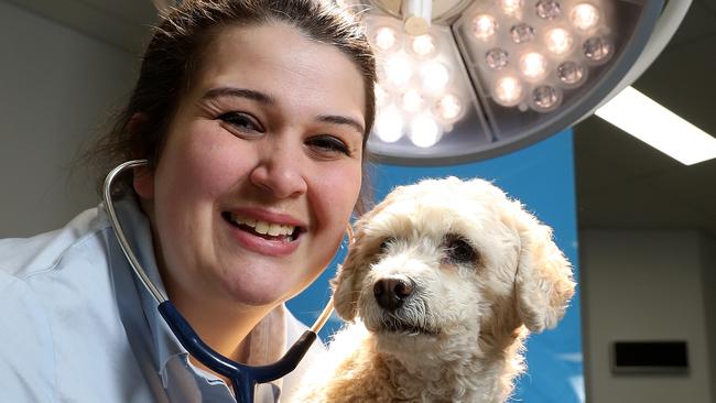 Dr Vicky Wade, with poodle Stimpy, treated one of the dogs that died.