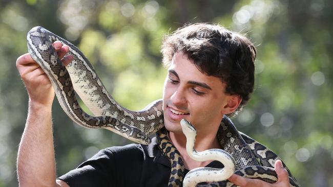 Wild Encounters snake catcher Sam Howard saves day in Nerang with ...