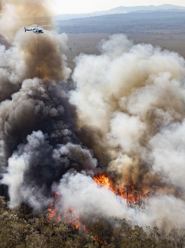 This week’s fire at Noosa North Shore. Picture: Supplied