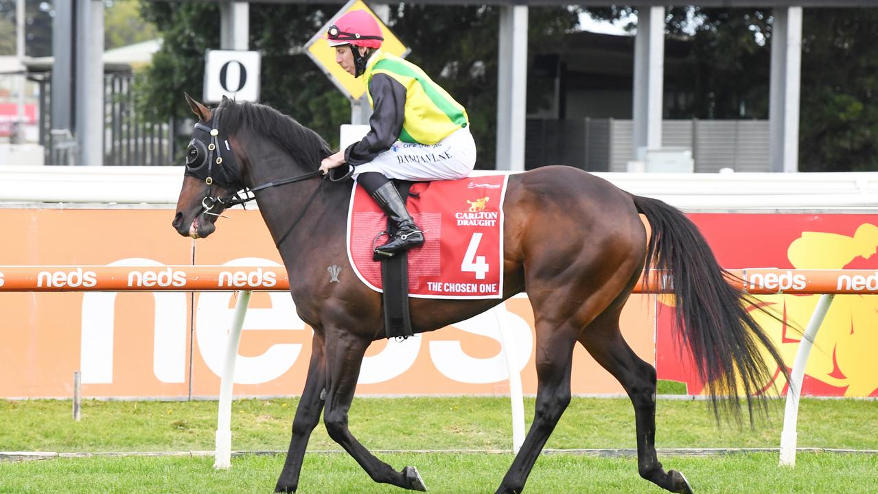 Carlton Draught Caulfield Cup