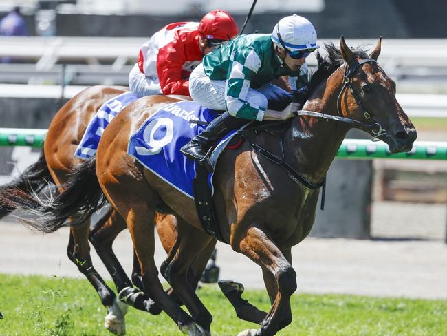 NCA. MELBOURNE. Melbourne Cup Day at Flemington Racecourse on November 05, 2024 in Melbourne, Australia.   Race 1. The Maribyrnong Plate.  Tycoon Star ridden by Michael Dee win the opening race  .  Picture: Michael Klein