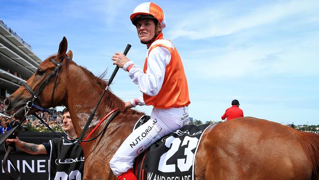 Melbourne Cup winner Vow And Declare could have been bought at auction for $60,000. Picture: Mark Stewart