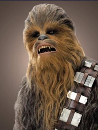 Chewbacca from the Star Wars franchise.